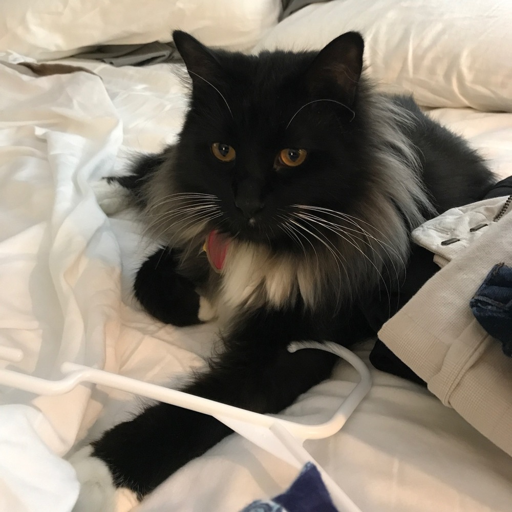 Meet your Posher, Angie